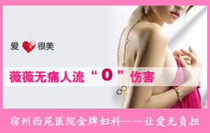 西苑妇产医院薇薇保宫无痛人流