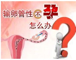 www.szxyyy.com/swt